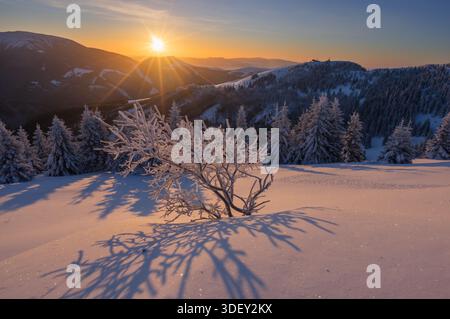 Der Blick auf die Sonne wirft lange Schatten über die schneebedeckte Landschaft und beleuchtet die mattierten Bäume in Maly Zvolen, Nizke Tatry, Slowakei. Stockfoto