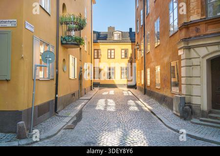 Blick auf die Kopfsteinpflasterstraße, die in warmes Sonnenlicht getaucht ist, zwischen Gebäuden in Orange und Gelb, Gamla stan, Stockholm, Schweden. Stockfoto
