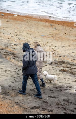 Im Winter spazieren Sie mit einem Hund an einem Sandstrand entlang an der Küste der isle of wight UK Stockfoto