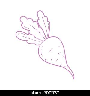 Niedliche handgezeichnete Illustration der Roten Beete im Minimal Doodle Style Stock Vektor