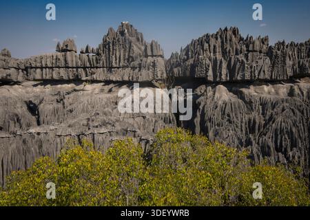 Der Grand Tsingy bezieht sich auf die spektakulären, rasiermesserscharfen Kalksteinformationen im Tsingy de Bemaraha Nationalpark, einem UNESCO-Weltkulturerbe im Westen Madagaskars. Es ist eine der berühmtesten und dramatischsten Landschaften der Insel. Stockfoto