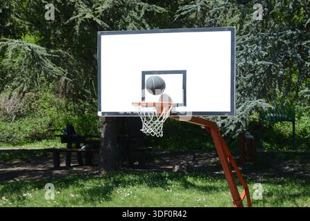 Basketballtisch im Wald mit grünen Bäumen und einem Ball, kurz bevor man in den Basketball kommt Stockfoto