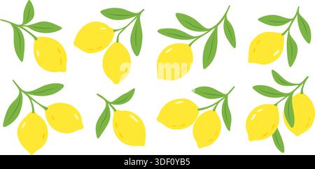 Zitronen mit Blättern in flacher Illustration Stock Vektor
