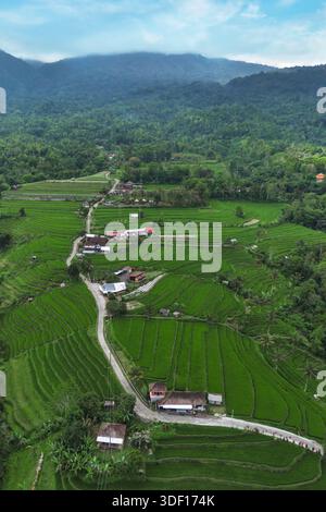 Winding Road Reisfelder Mit Smaragdgrünen Terrassen, Die Sich Auf Den Hügel Stürzen Und Verstreute Häuser Bieten Stockfoto