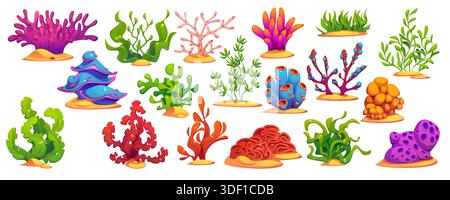 Unterwasser-Zeichentrickfilm Algen und Korallenriffe, Vektormeere und Ozeanwasserpflanzen. Rote und grüne Aquarienflora und Steinkorallen mit Seetang, Anemone und Diploria, Laminaria und Rhodymenie-Algen Stock Vektor
