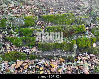 Moosbedeckte Steinstufen und verwitterte Felsstruktur Stockfoto