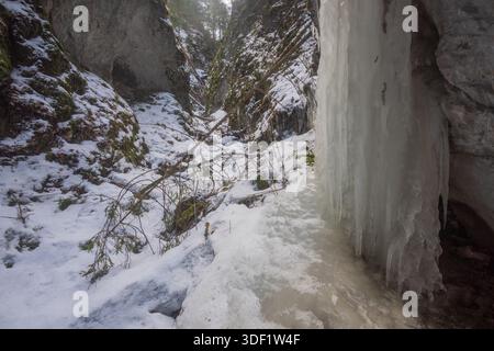 Blick auf einen gefrorenen Wasserfall, der eine Felswände hinunterstürzt, inmitten von schneebedecktem, zerklüftetem Gelände in Maly Sokol, Slovensky Raj, Region Kosice, Slowakei. Stockfoto