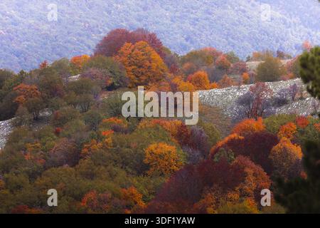 Blick auf einen Hügel mit den feurigen Herbsttönen, einem Wandteppich aus Rot, Orangen und Grün, der die Landschaft in lebhaften Farben malte, Sub Stockfoto