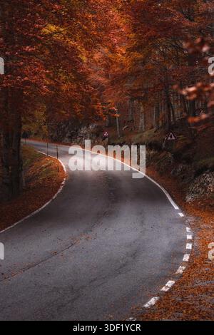 Blick auf eine Asphaltstraße, die sich durch einen Wald mit herbstlichen Tönen, einem lebendigen Wandteppich aus feurigen Rot- und Orangentönen führt, Subiaco, Latium, Italien. Stockfoto