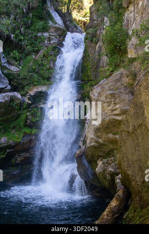 Ein atemberaubender Wasserfall, der durch felsige Klippen in einen ruhigen Pool stürzt, umgeben von üppigem Grün. Stockfoto