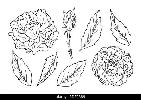 Ein Satz Pfingstrosenblüten, Blätter und Knospen in Form von Umrissen. Botanisches monochromes Design für Hochzeitseinladungen, Tattoos und Ausmalseiten. Linienkunstskizzen blühender Pflanzen Stock Vektor