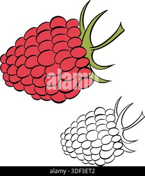 Rosa Himbeere Illustration mit grünen Blättern isolierte handgezeichnete Illustration. Vektor-Grafik-Linie Tinte farbige Kunst. Design für Mode-Grafiken, Text Stock Vektor