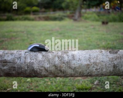 Kabellose Computermaus auf einem Holzblock in einem Park, die Außenarbeiten und tragbare Technologie repräsentiert. Stockfoto