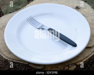 Weißer Teller mit Gabel auf einem Holzstumpf im Freien, zeigt eine einfache Essenseinrichtung mit negativem Raum. Stockfoto