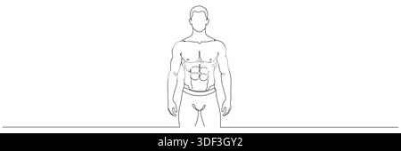 Eine einzelne durchgehende Linienzeichnung zeigt einen jungen, starken männlichen Bodybuilder in einer selbstbewussten Pose. Logo-Konzept des Fitnesscenters. Bearbeitbare Zeile Stock Vektor