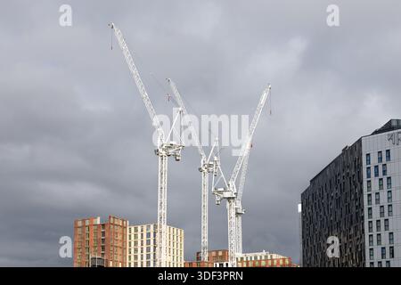 Stadtentwicklung mit Turmkränen über Stadtgebäuden. London, Vereinigtes Königreich, 17. März 2024 Stockfoto