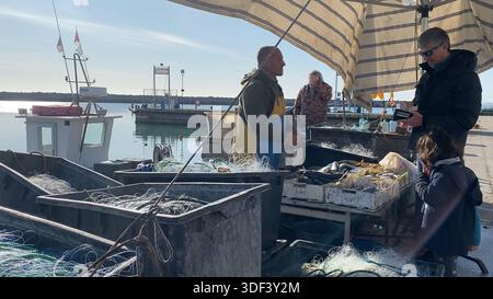 Numana, Italien - 22. April 2023 Männer, die auf einem angedockten Boot Fischernetze für einen Tag auf See vorbereiten. Die Szene fängt einen Moment fleißiger Aktivitäten ein Stockfoto