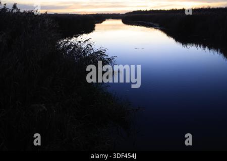 Der Federsee bei Bad Buchau, Baden-Württemberg, Deutschland, Europa Stockfoto
