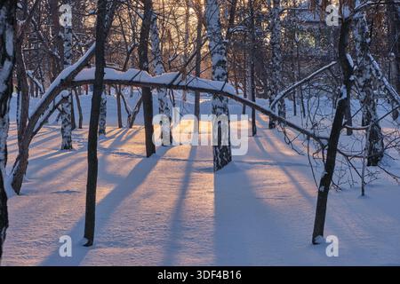 Wunderschöne Winterlandschaft im Park bei Sonnenuntergang. Bäume im Schnee Stockfoto