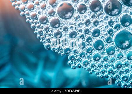 Makrofotografie von dichten Blasen auf einem zweifarbigen Hintergrund in Petrol und Orange, die eine kinematische und kontrastreiche abstrakte Flüssigkunst schafft. Stockfoto