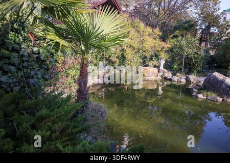 Detaillierter Blick auf eine Palme, die einen ruhigen Teich mit Steinstatuen, Felsen und lebendigen tropischen Pflanzen in einer ruhigen Gartenumgebung umrahmt. Stockfoto