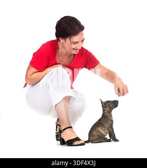 Miniatur Bullterrier und Frau vor weißem Hintergrund Stockfoto