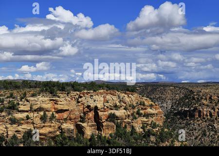 Riesige Kumuluswolken hängen über einer bewaldeten mesa und weit entfernten Bergrücken im Mesa Verde National Park, Colorado, USA, mit Sonnenlicht. Stockfoto