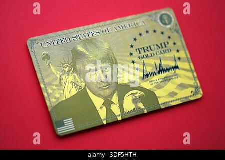 KIEW, UKRAINE - 13. DEZEMBER 2025 Trump Goldkarte Souvenir auf roter Farbe Hintergrund Oberfläche Nahaufnahme Stockfoto