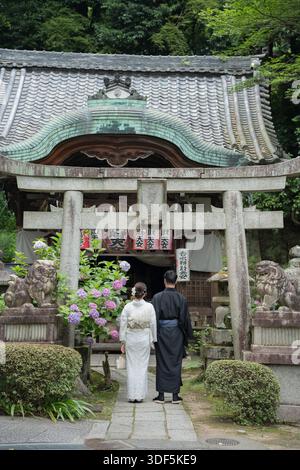 Ein Paar im Kimono steht vor dem traditionellen Torii-Tor aus Stein mit Hortensien. Kyoto, Japan. Stockfoto