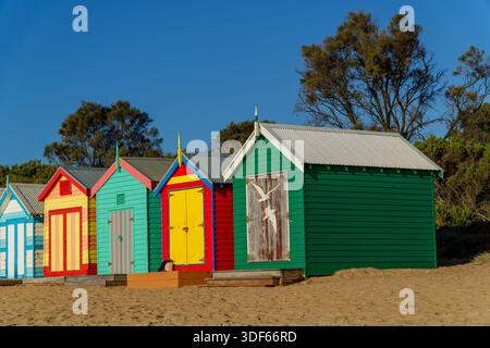 Lebhafte, mehrfarbige Badekästen stehen in einer Reihe an einem sonnigen Sandstrand mit üppigen Bäumen im Hintergrund. Stockfoto
