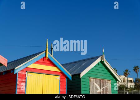 Zwei lebhafte Strandboxen, eine rot-gelb gestreift, die andere grün mit einer schimmernden Möwe, unter einem klaren blauen Himmel. Stockfoto