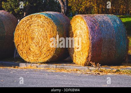 Goldene Heuballen, die mit Netzen gewickelt sind, ruhen neben einer asphaltierten Straße. Große Strohzylinder bilden eine rustikale Landwirtschaftsszene. Landwirtschaftliche Heftklammer, runder Heuballen, Stockfoto