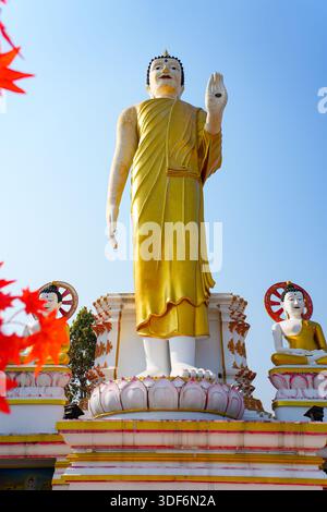 Majestätische stehende goldene Buddha-Statue am Wat Phra That Doi Kham Tempel auf der Bergseite von Chiang Mai, Nordthailand Stockfoto
