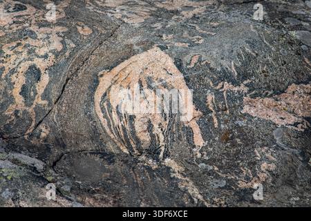 Geologische Muster auf metamorphem Grundgestein auf der Insel Liuskasaari, Helsinki, Finnland Stockfoto