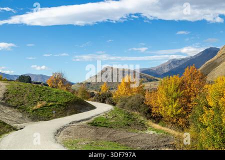 Der Shotover Gorge Trail ein Wander- und Radweg zwischen Queenstown und Arthurs Point, Otago, Neuseeland Stockfoto
