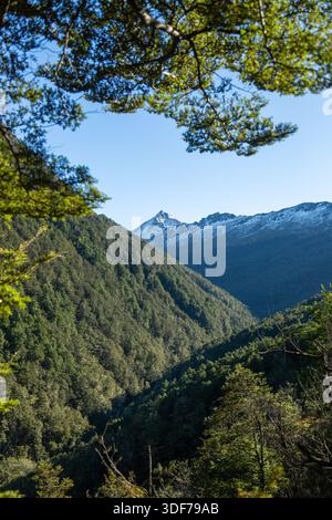 Am Ende des Earnslaw Burn Track zum Mt Earnslaw, Glenorchy, Otago Region, Neuseeland Stockfoto