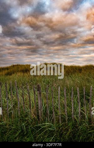 St Andrews, Schottland: Sonnenuntergang auf Sandweg, Busch und Holzzaun zum West Sands Beach, Sandstrand mit Dünen und Golfplätzen von St Andrews Links Stockfoto