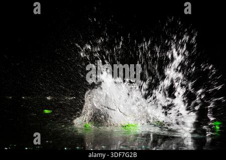 Platze Wasserballon auf einer wasserbedeckten Glasplatte vor dunklem Hintergrund. Stockfoto