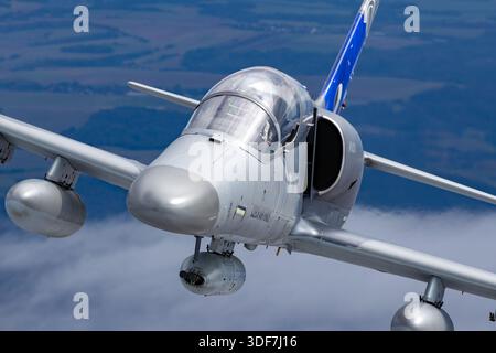 Luftbild der tschechischen Luftwaffe Aero L-39 Albatross und Aero L-159A ALCA während der NATO-Tage 2025. Die Nahperspektive konzentriert sich auf den Piloten innerhalb des Cockpitvordachs, der die standardmäßige Flugsicherheitsausrüstung zeigt. Der L-39 Albatross ist ein moderner Jet-Trainer mit einem Ivchenko AI-25TL Turbofan-Motor. Die L-159A ALCA ist ein leichtes Kampfflugzeug, das mit einem Honeywell F124-GA-100 Turbofan ausgestattet ist. Stockfoto