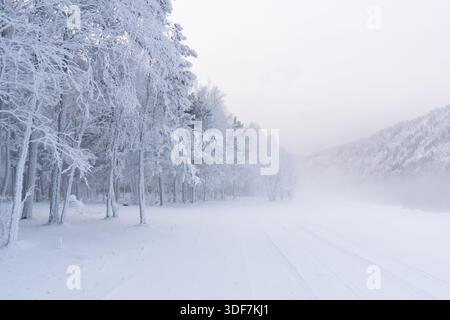 Die Winterlandschaft ist mit schneebedeckten Bäumen mit verschwommenem Hintergrund und sanfter Beleuchtung an einem kalten Tag in einer abgelegenen Gegend umgeben Stockfoto