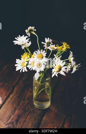 Kleiner Strauß wilder Kamillenblumen in Glasvase auf Holztisch Stockfoto