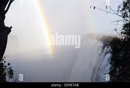 Ein Regenbogen am frühen Morgen bei Victoria Falls Stockfoto