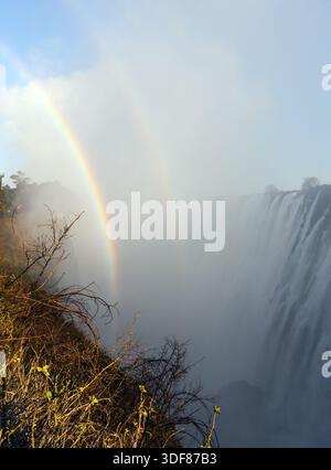 Ein Regenbogen am frühen Morgen bei Victoria Falls Stockfoto