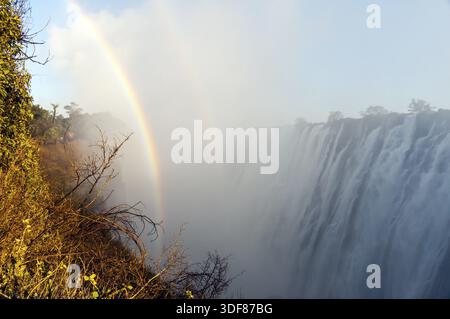 Ein Regenbogen am frühen Morgen über den Victoria Falls Stockfoto