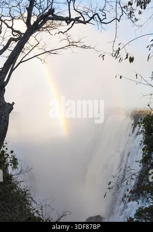 Ein Regenbogen am frühen Morgen über den Victoria Falls Stockfoto