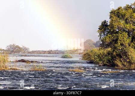 Regenbogen am frühen Morgen von der Sambia-Seite der Victoria Fälle gesehen Stockfoto