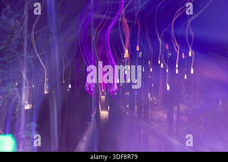 Abstrakte Lila Lichtwege Waldweg Nacht Stockfoto