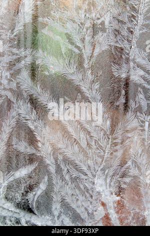 Fensterfrost, verursacht durch Dampf, der auf kaltem Glas kondensiert und Frostmuster bildet Stockfoto