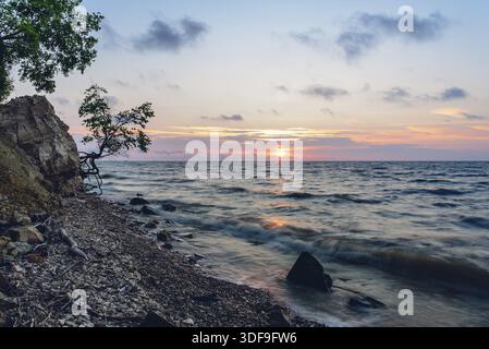 Einzigen Baum auf der felsigen Ufer im Sommer Sonnenaufgang Stockfoto