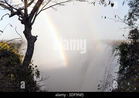 Regenbogen am frühen Morgen von der Sambia-Seite der Victoria Fälle gesehen Stockfoto